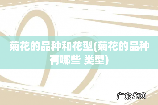 菊花的品种有哪些 类型 菊花的品种和花型