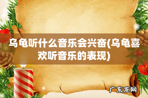 乌龟喜欢听音乐的表现 乌龟听什么音乐会兴奋