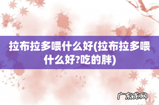 拉布拉多喂什么好?吃的胖 拉布拉多喂什么好