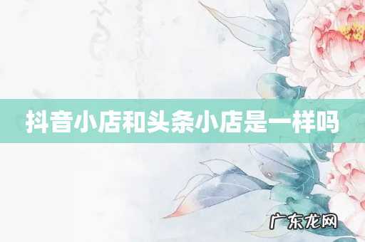 抖音小店和头条小店是一样吗