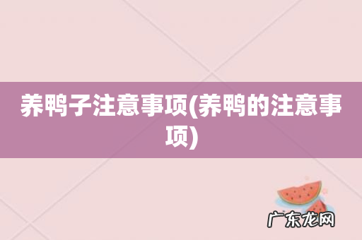 养鸭的注意事项 养鸭子注意事项