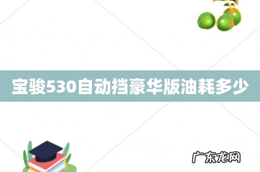 宝骏530自动挡豪华版油耗多少