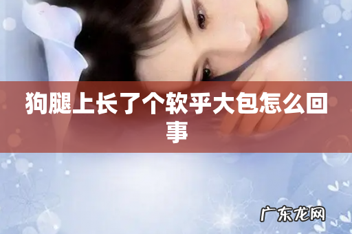 狗腿上长了个软乎大包怎么回事