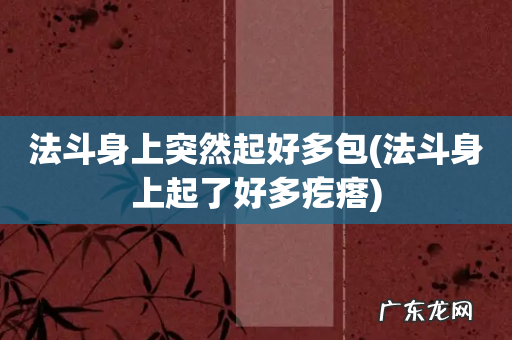 法斗身上起了好多疙瘩 法斗身上突然起好多包