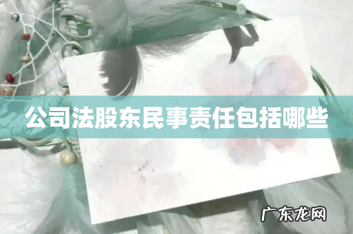 公司法股东民事责任包括哪些