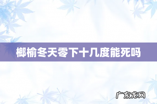 榔榆冬天零下十几度能死吗