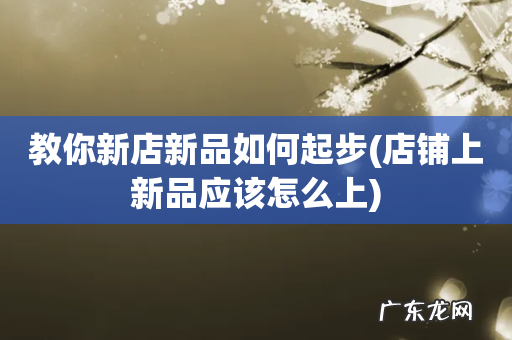 店铺上新品应该怎么上 教你新店新品如何起步