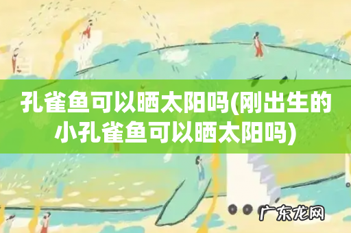 刚出生的小孔雀鱼可以晒太阳吗 孔雀鱼可以晒太阳吗