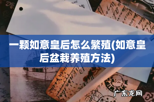 如意皇后盆栽养殖方法 一颗如意皇后怎么繁殖