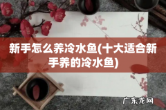 十大适合新手养的冷水鱼 新手怎么养冷水鱼