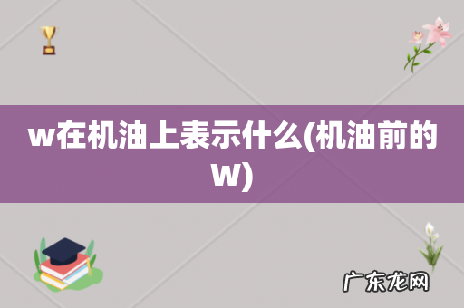 机油前的W w在机油上表示什么