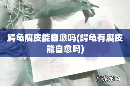 鳄龟有腐皮能自愈吗 鳄龟腐皮能自愈吗