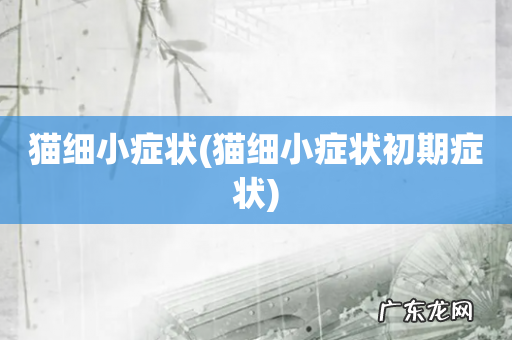 猫细小症状初期症状 猫细小症状