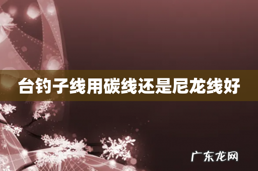 台钓子线用碳线还是尼龙线好