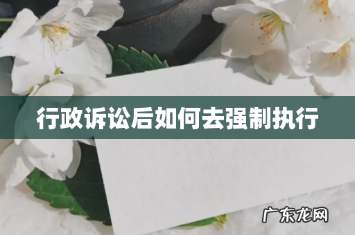 行政诉讼后如何去强制执行