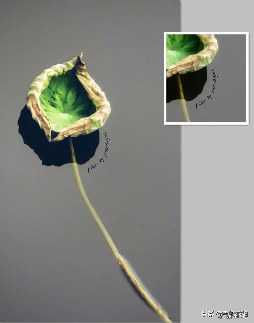 picsart怎么设置无水印 古风水印教程picsart