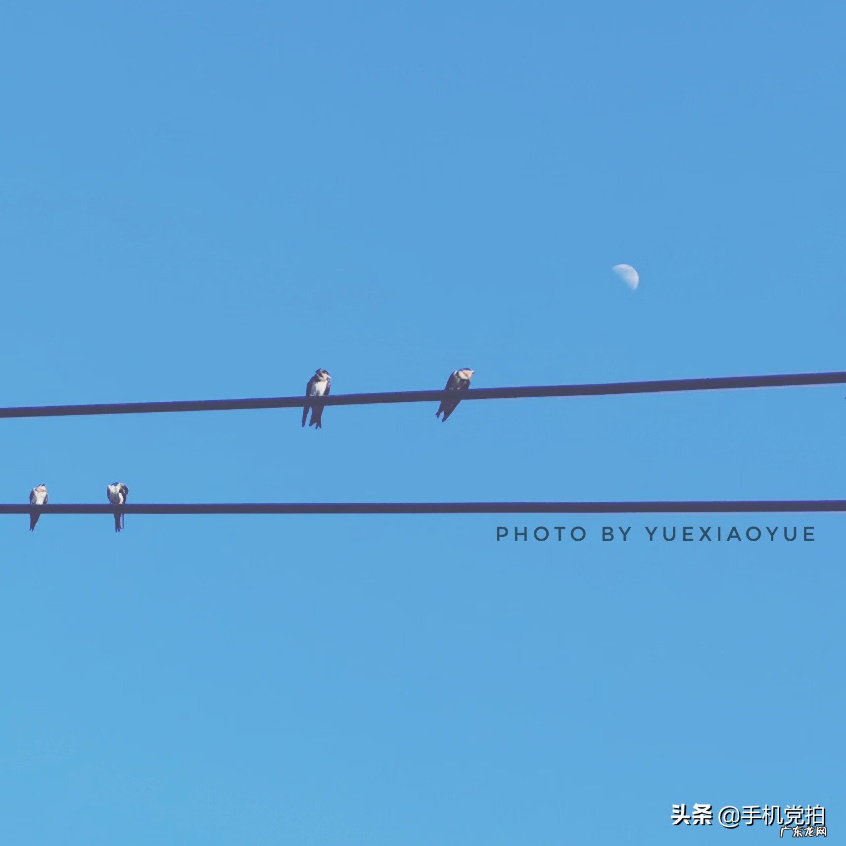 picsart怎么设置无水印 古风水印教程picsart