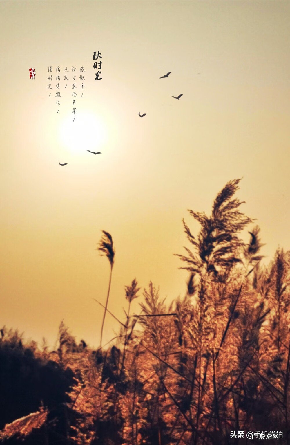 picsart怎么设置无水印 古风水印教程picsart