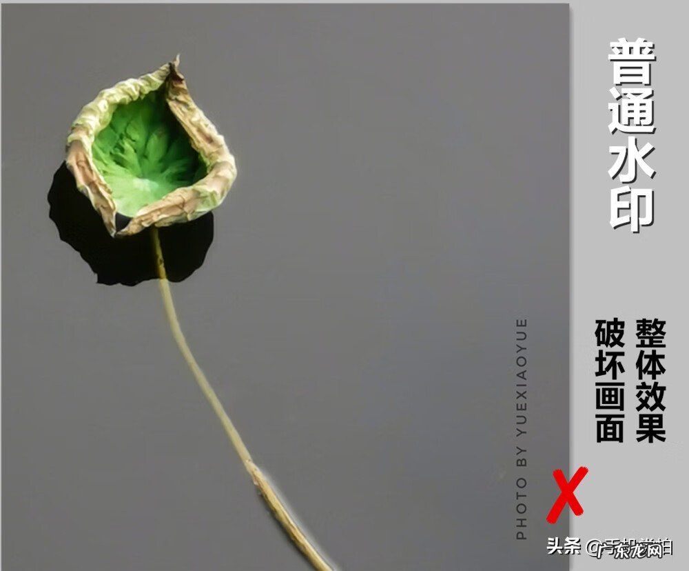 picsart怎么设置无水印 古风水印教程picsart