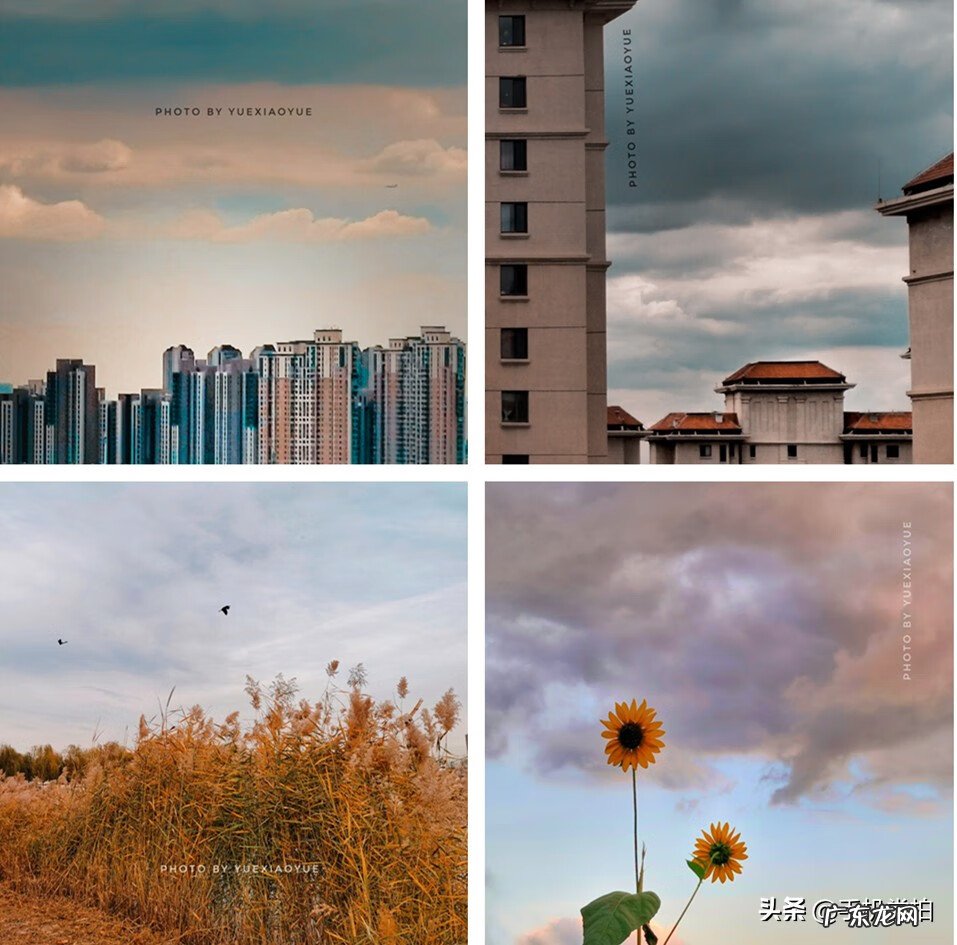 picsart怎么设置无水印 古风水印教程picsart