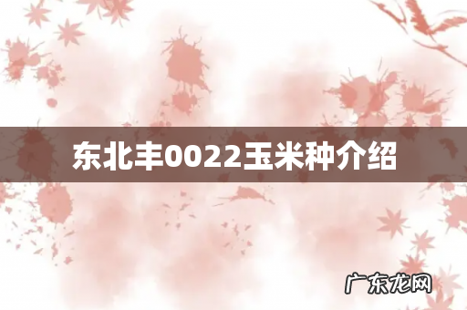 东北丰0022玉米种介绍