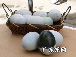 孕期能不能吃皮蛋 怀孕能不能吃皮蛋吗