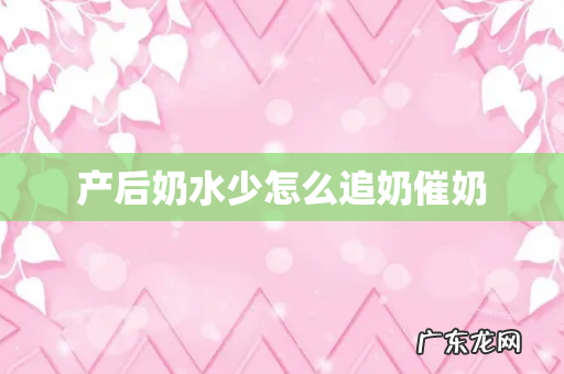 产后奶水少怎么追奶催奶