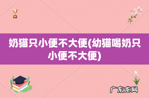 幼猫喝奶只小便不大便 奶猫只小便不大便