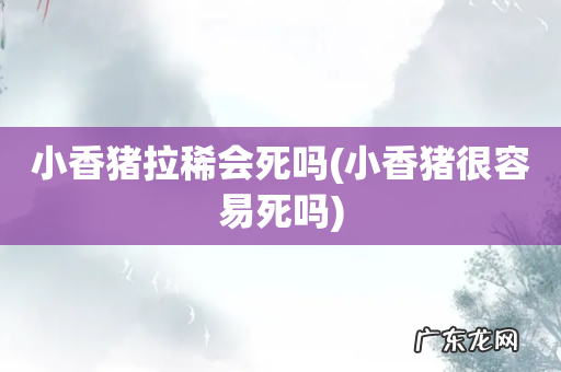 小香猪很容易死吗 小香猪拉稀会死吗