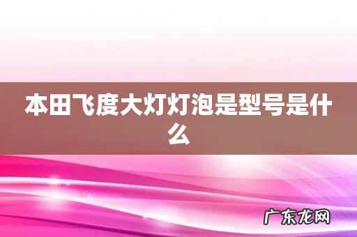 本田飞度大灯灯泡是型号是什么