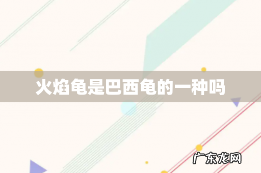 火焰龟是巴西龟的一种吗