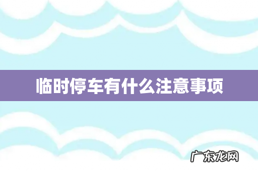 临时停车有什么注意事项