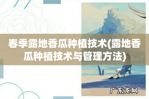 露地香瓜种植技术与管理方法 春季露地香瓜种植技术