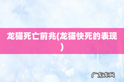 龙猫快死的表现 龙猫死亡前兆