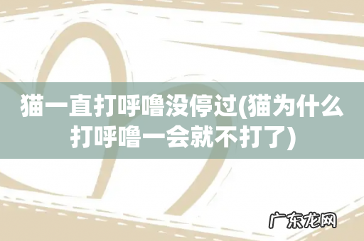 猫为什么打呼噜一会就不打了 猫一直打呼噜没停过