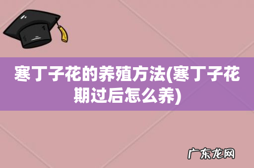 寒丁子花期过后怎么养 寒丁子花的养殖方法