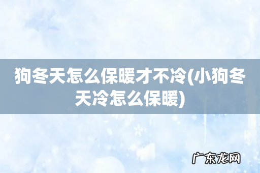 小狗冬天冷怎么保暖 狗冬天怎么保暖才不冷