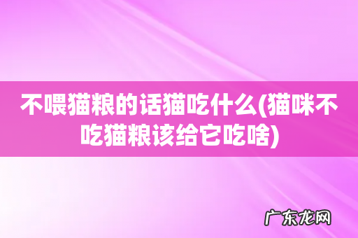 猫咪不吃猫粮该给它吃啥 不喂猫粮的话猫吃什么