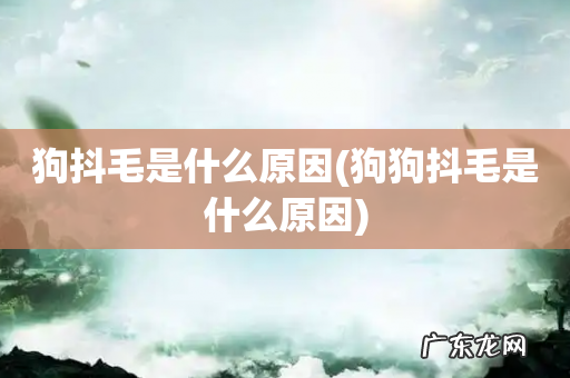 狗狗抖毛是什么原因 狗抖毛是什么原因