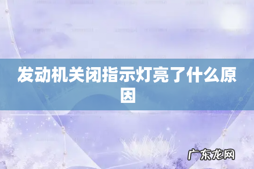 发动机关闭指示灯亮了什么原因