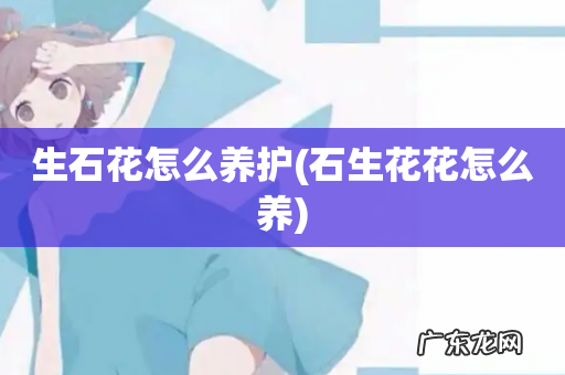 石生花花怎么养 生石花怎么养护