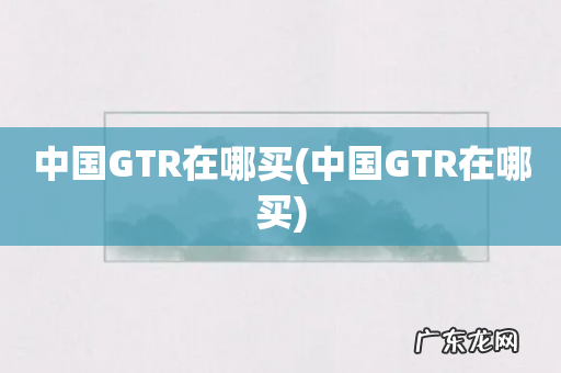 中国GTR在哪买 中国GTR在哪买
