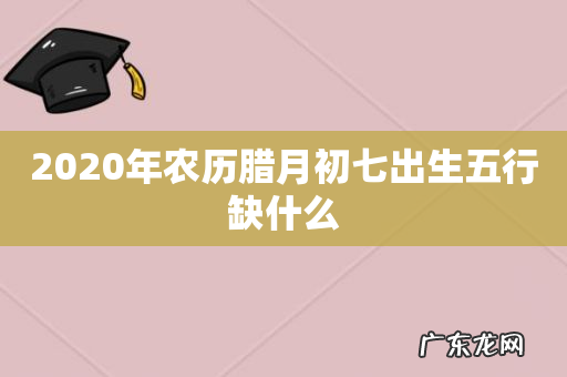 2020年农历腊月初七出生五行缺什么