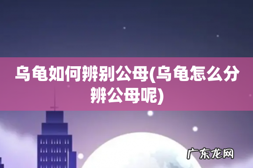 乌龟怎么分辨公母呢 乌龟如何辨别公母