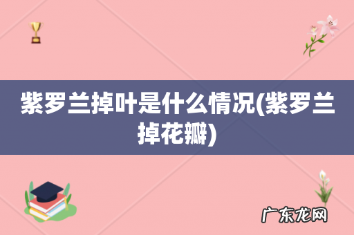 紫罗兰掉花瓣 紫罗兰掉叶是什么情况