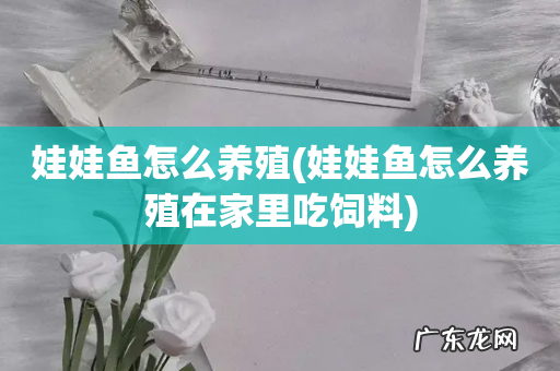 娃娃鱼怎么养殖在家里吃饲料 娃娃鱼怎么养殖