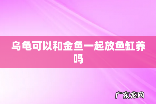 乌龟可以和金鱼一起放鱼缸养吗
