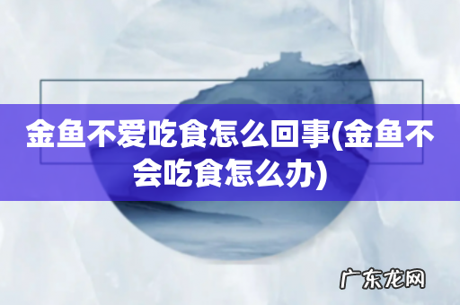 金鱼不会吃食怎么办 金鱼不爱吃食怎么回事