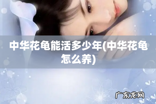 中华花龟怎么养 中华花龟能活多少年