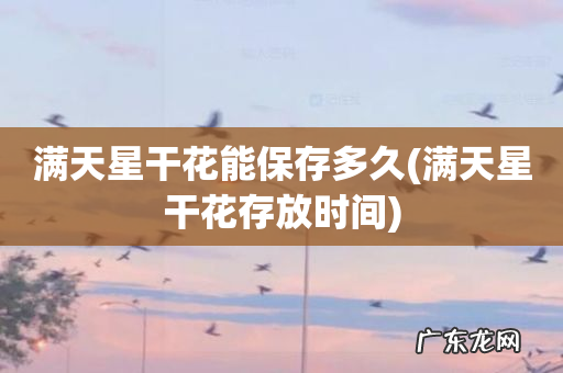 满天星干花存放时间 满天星干花能保存多久